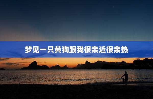 梦见一只黄狗跟我很亲近很亲热