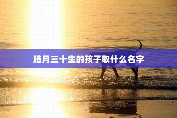 腊月三十生的孩子取什么名字