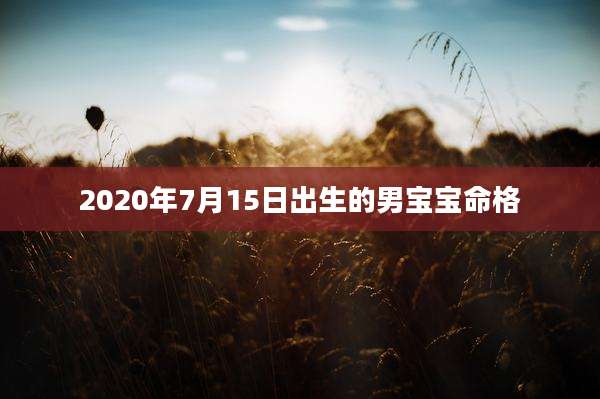 2020年7月15日出生的男宝宝命格