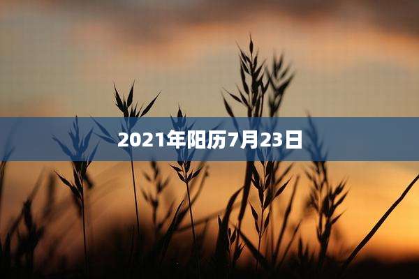 2021年阳历7月23日
