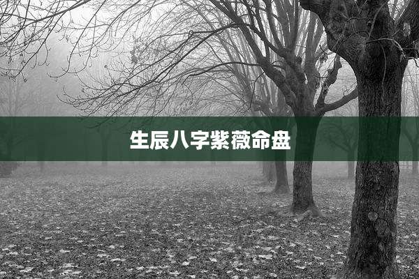 生辰八字紫薇命盘