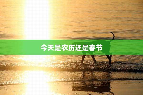 今天是农历还是春节