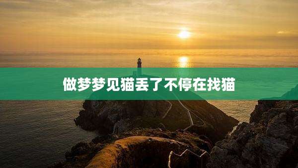 做梦梦见猫丢了不停在找猫