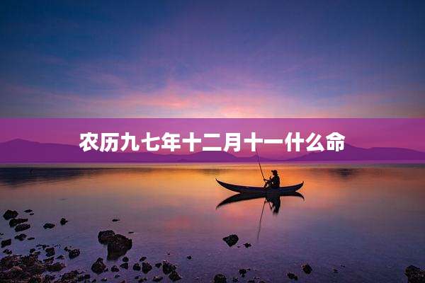 农历九七年十二月十一什么命
