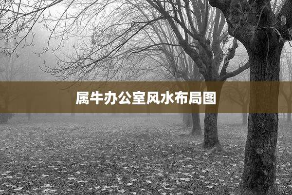 属牛办公室风水布局图