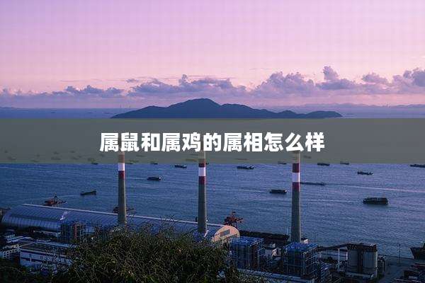 属鼠和属鸡的属相怎么样
