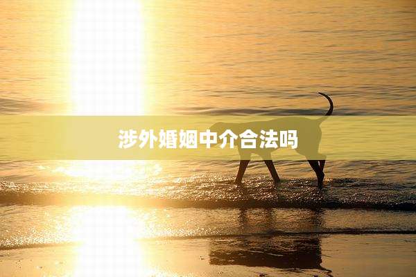 涉外婚姻中介合法吗