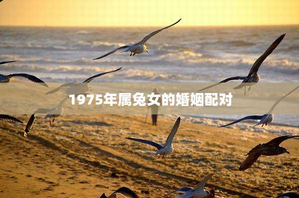 1975年属兔女的婚姻配对