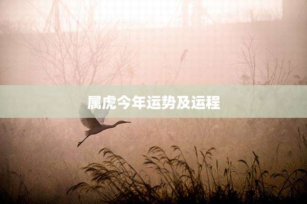 属虎今年运势及运程