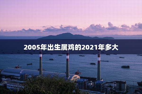 2005年出生属鸡的2021年多大