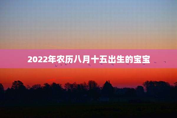 2022年农历八月十五出生的宝宝
