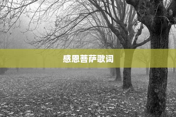 感恩菩萨歌词