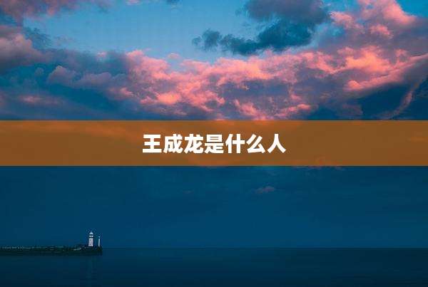 王成龙是什么人