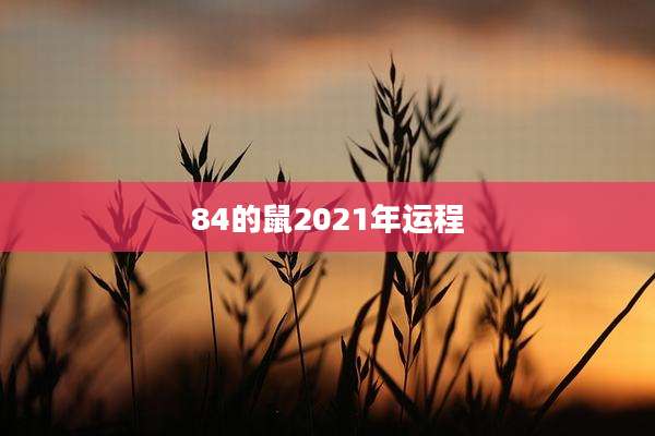 84的鼠2021年运程
