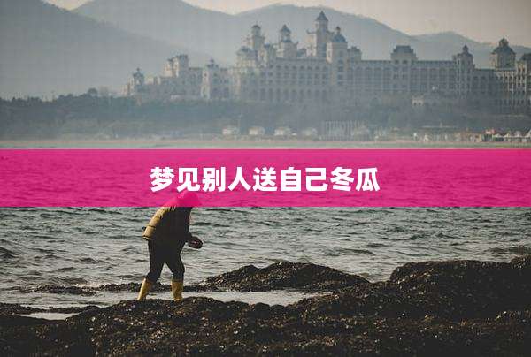 梦见别人送自己冬瓜