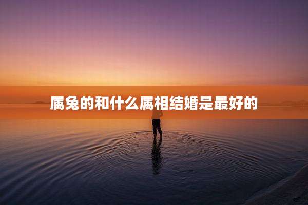 属兔的和什么属相结婚是最好的