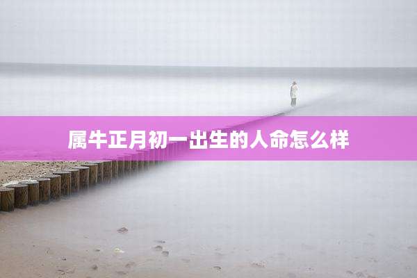 属牛正月初一出生的人命怎么样