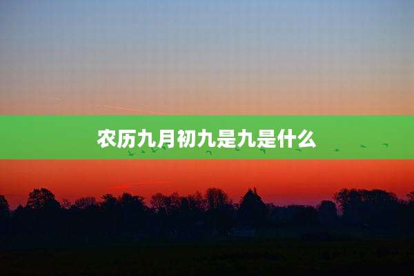 农历九月初九是九是什么