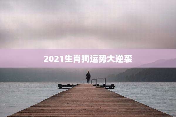 2021生肖狗运势大逆袭
