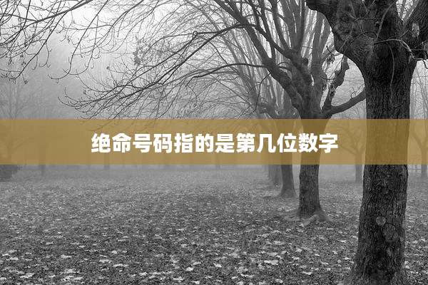 绝命号码指的是第几位数字