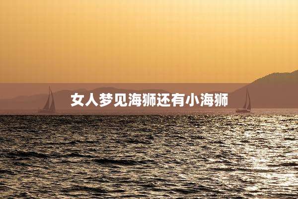 女人梦见海狮还有小海狮