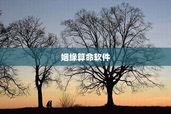 姻缘算命软件