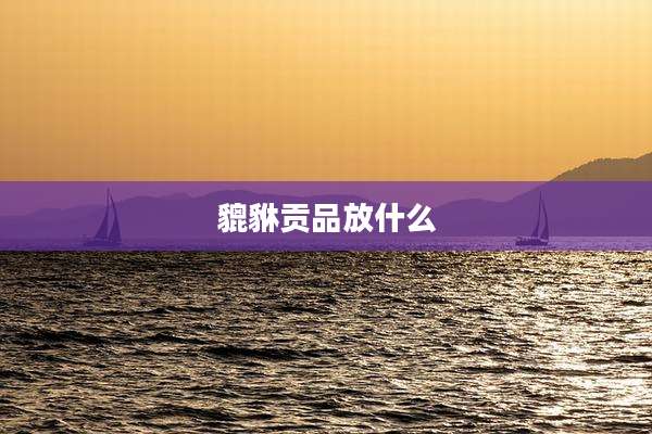 貔貅贡品放什么
