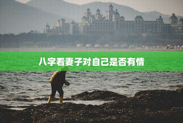 八字看妻子对自己是否有情