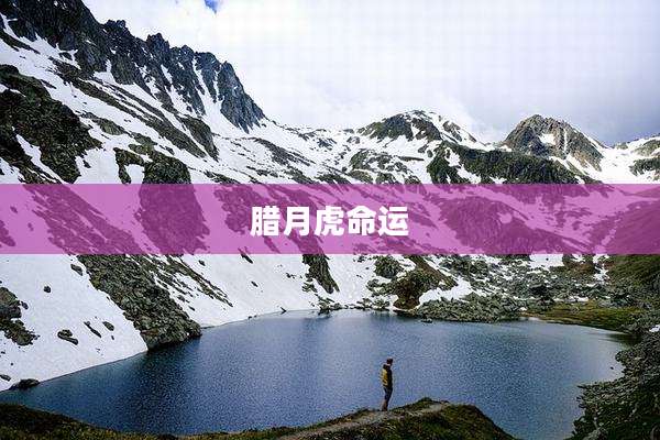 腊月虎命运