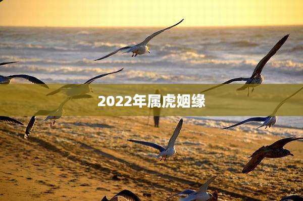 2022年属虎姻缘