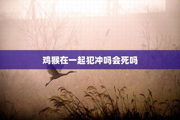鸡猴在一起犯冲吗会死吗