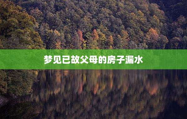 梦见已故父母的房子漏水
