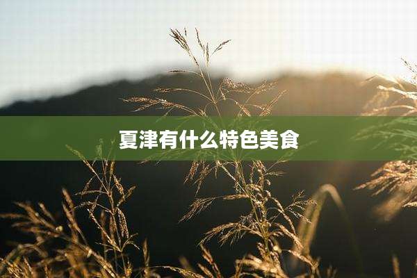 夏津有什么特色美食