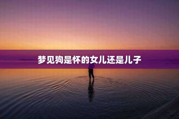 梦见狗是怀的女儿还是儿子