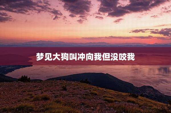 梦见大狗叫冲向我但没咬我