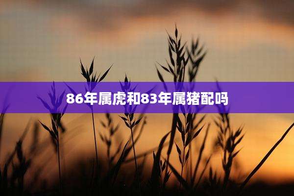86年属虎和83年属猪配吗