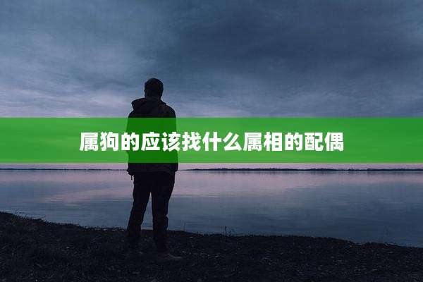 属狗的应该找什么属相的配偶