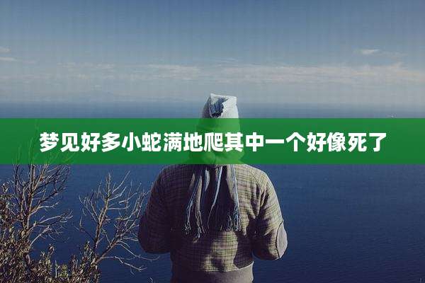 梦见好多小蛇满地爬其中一个好像死了