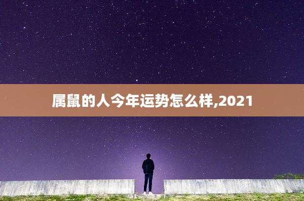 属鼠的人今年运势怎么样,2021