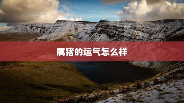 属猪的运气怎么样