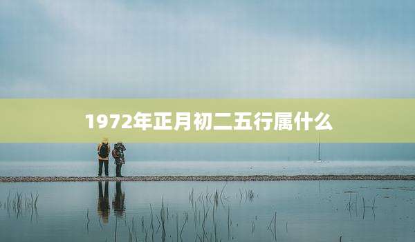 1972年正月初二五行属什么