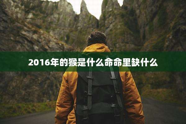2016年的猴是什么命命里缺什么