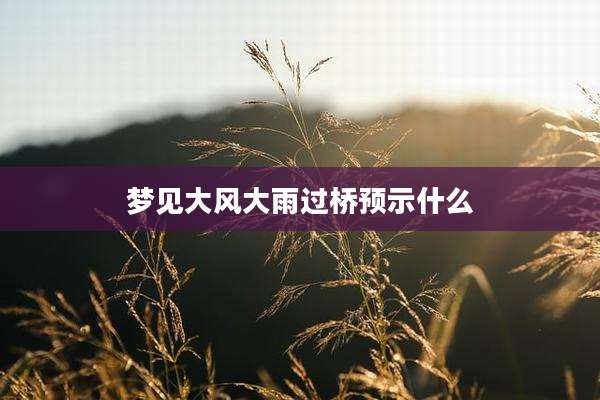 梦见大风大雨过桥预示什么