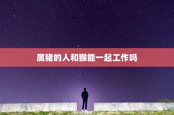 属猪的人和猴能一起工作吗