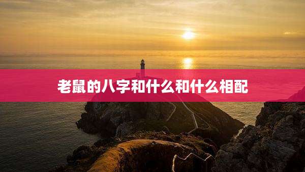 老鼠的八字和什么和什么相配