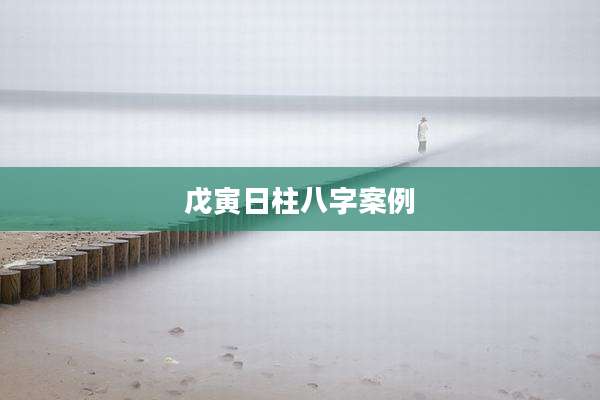 戊寅日柱八字案例