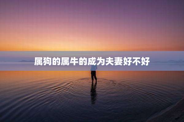 属狗的属牛的成为夫妻好不好