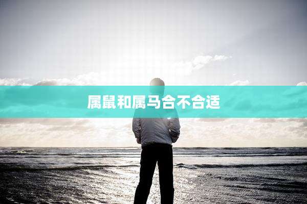 属鼠和属马合不合适
