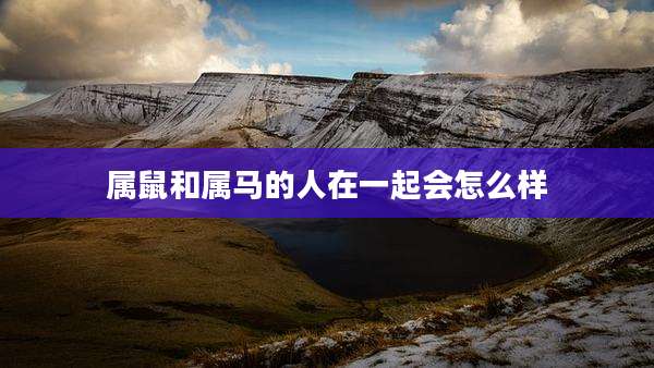 属鼠和属马的人在一起会怎么样