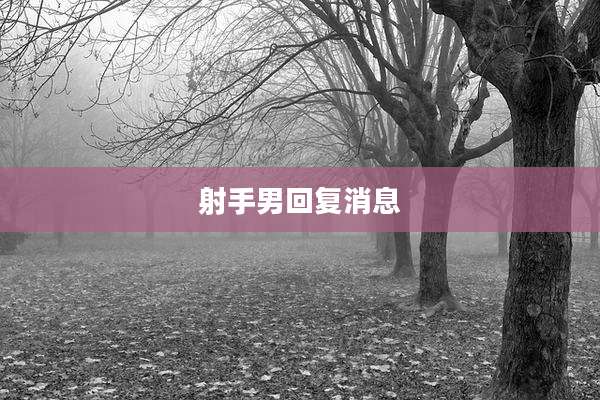 射手男回复消息